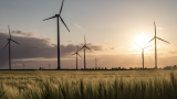 Wind farm